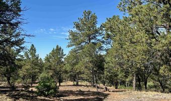 Tract B 266 Gallina Canyon Road, Valdez, NM 87580