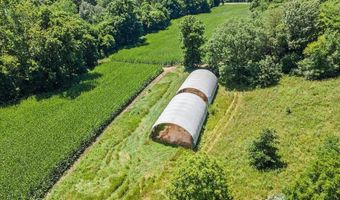 0 Triopia Literberry Rd, Arenzville, IL 62611