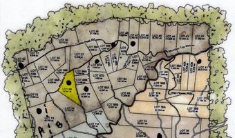 701 Ridgetop Rd, Bastian, VA 24314