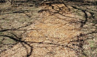 4775 S 50th Rd, Aldrich, MO 65601