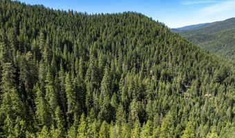 Hungry Ridge, Ashland, OR 97520