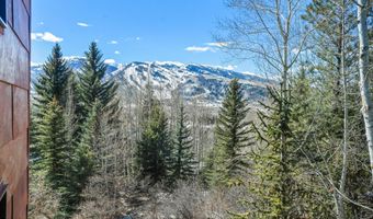 62 Bennett Ct, Aspen, CO 81611