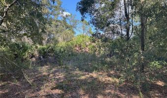 0 ALTURAS BABSON PARK CUT OFF Rd, Bartow, FL 33830