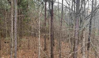 6 Acre T Owens Dr, Anniston, AL 36201
