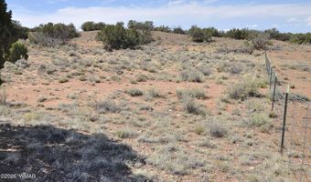 19 C & D County Rd N9033, Concho, AZ 85924