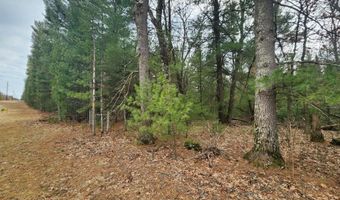 Dyke Avenue lot 8, Adams, WI 53910