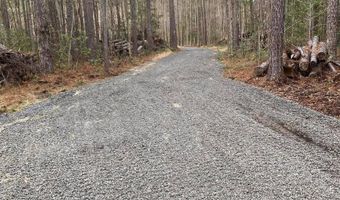 6774 Spring Grove Rd, Adams Run, SC 29426