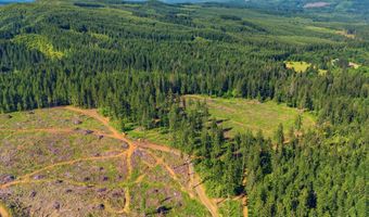 Tunnel Tract Parcel2, Banks, OR 97106