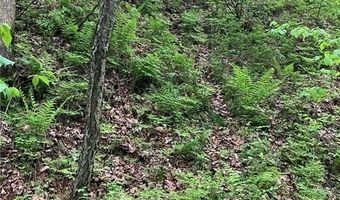 N3953-201 Bear Pen Road, Arkansaw, WI 54721