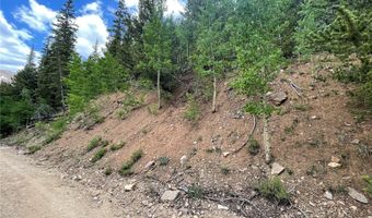 847 County Road 787, Alma, CO 80420