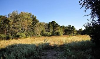 412098 E 1920 Rd, Antlers, OK 74523