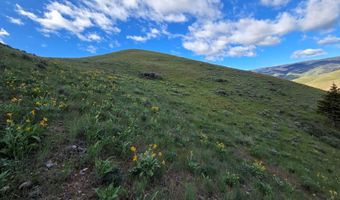 NKN E Tower Creek Road, Carmen, ID 83462
