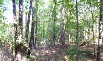 330 County Road 245, Abbeville, MS 38601