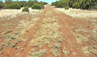 20 CO Rd, Concho, AZ 85924