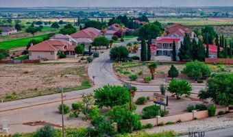 603 Oakwood Pl, Carlsbad, NM 88220