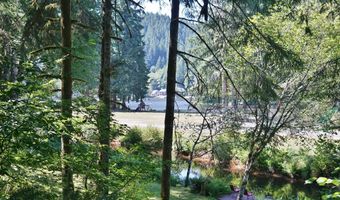 9965 BEACH Dr, Birkenfeld, OR 97016