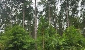 00 Pleasant Grove Church Road B, Albany, GA 31707