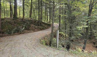 1382 Grassy Brook Rd, Brookline, VT 05345