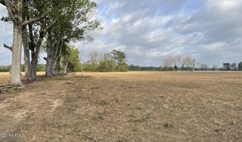Oscar Rivette Road lot Multiple, Arnaudville, LA 70512