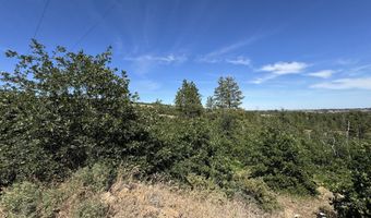 112 TIMBER Rd, Bickleton, WA 99322