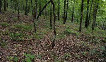 13 Hidden Vly Lks, Annapolis, MO 63620