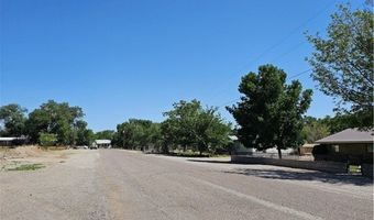 121 Purple Sage Ave, Alamo, NV 89001
