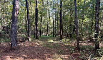 0 Lloyd Mill Rd, Andalusia, AL 36421