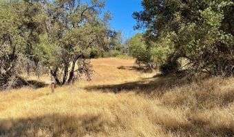 41902 Woodward Way, Ahwahnee, CA 93601