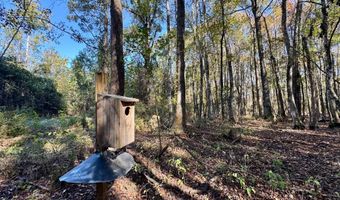 TBD Binnicker Bridge Road, Bamberg, SC 29003