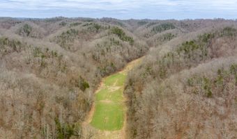 Willis Creek Rd, Albany, KY 42602