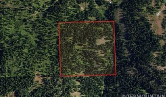 120 Acres Anatone, Anatone, WA 99401