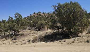 Xx NM 574, Aztec, NM 87410
