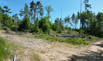Lot 39 Southwest Brook Lane, Beddington, ME 04622
