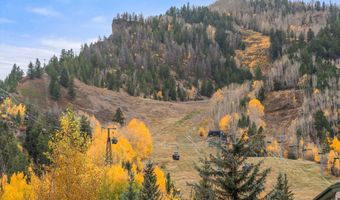 725 E Durant Ave 22, Aspen, CO 81611