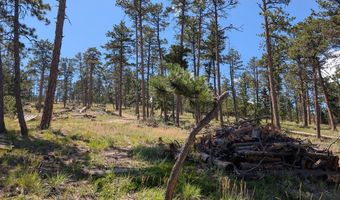 Old Camp Rd, Bellvue, CO 80512