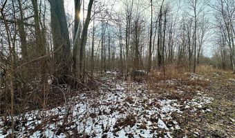 Sanborn Road, Ashtabula, OH 44004