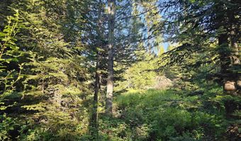 1000 Sanderson Ln, Bovill, ID 83806