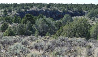 Matisse Road, Carson, NM 87517