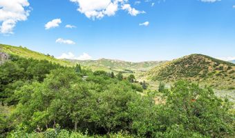 845 Aspen Oak Dr, Aspen, CO 81611