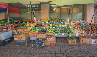 61-313 Kamehameha Hwy U, Haleiwa, HI 96712