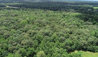 Pine Lodge Road, Batesville, MS 38606