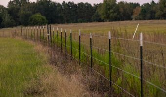 100 Acres Harmony Church Rd, Andalusia, AL 36421