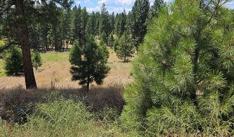 33005 Godowa Springs Rd, Beatty, OR 97621