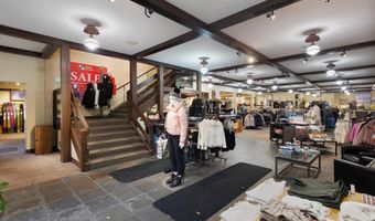 408 E Cooper Ave, Aspen, CO 81611