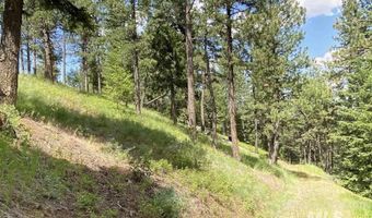 NNA Sangster Rd, Anatone, WA 99401