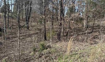 Lot 18 and 19 Sunshine Acres Rd 46-0A-00-018 and 46-0A-00-019, Benton, KY 42025