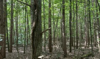 V/L 108TH AVENUE, Allegan, MI 49010