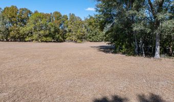 County Road 236 lot 4, Bell, FL 32619