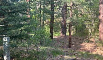 Tract B 266 Gallina Canyon Road, Valdez, NM 87580