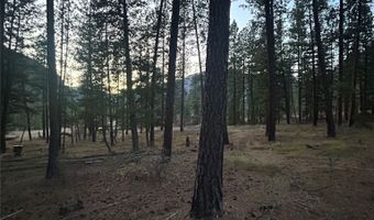 50 Bernie Rd, Alberton, MT 59820